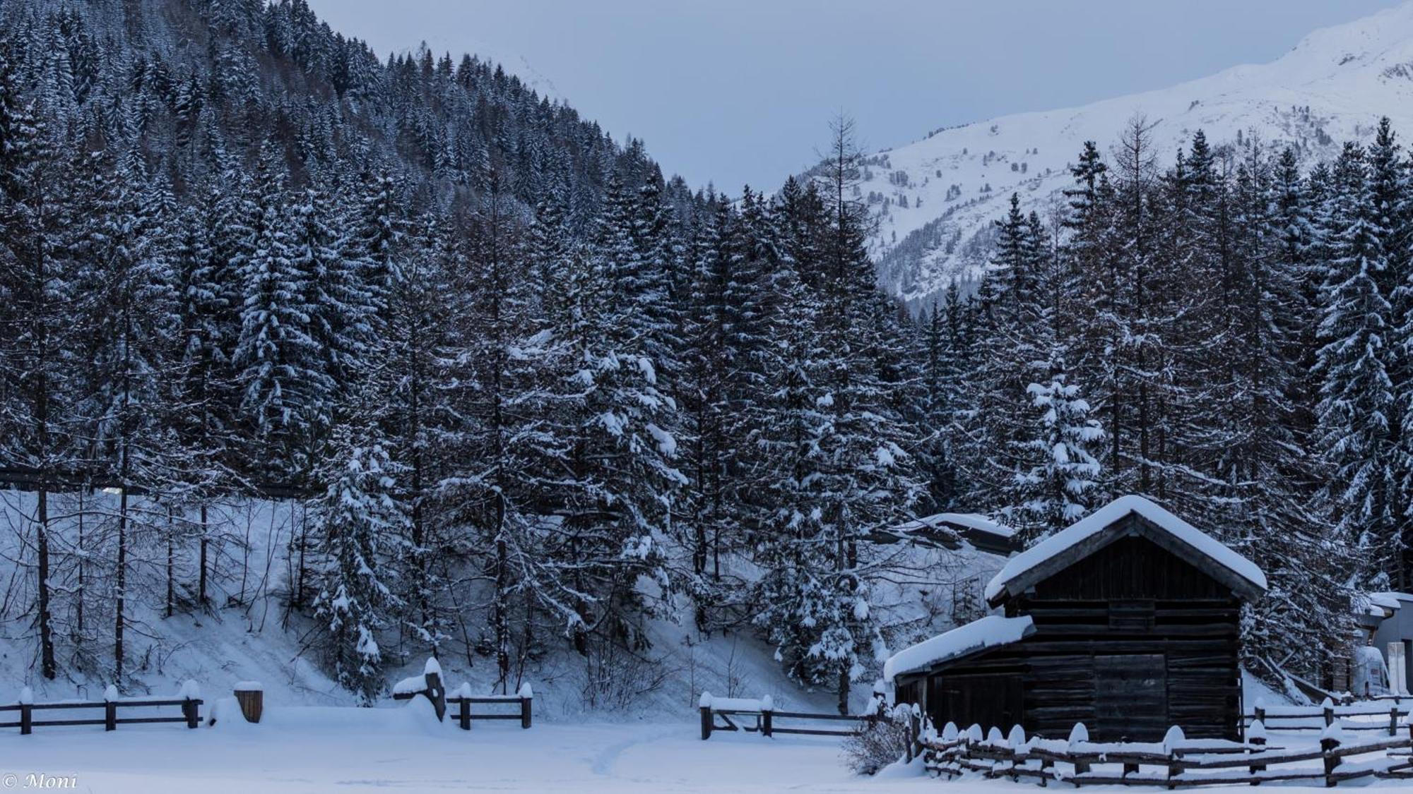 Haus Timmler Apartment Sankt Anton am Arlberg Luaran gambar